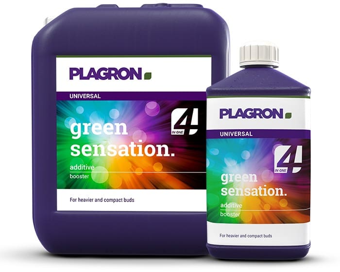 Plagron Green Sensation
