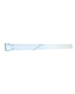 AquaKing lamp PL - 24W 2G11