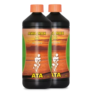ATA Awa Max A&B