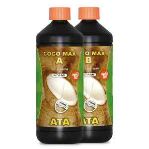 ATA Coco Max A&B