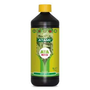 ATA NRG Growth-C