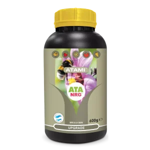 ATA NRG Upgrade