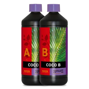B’cuzz Coco A&B