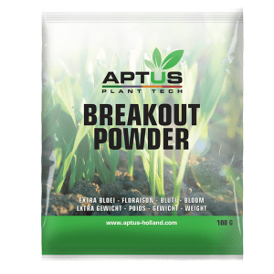 Breakout Powder