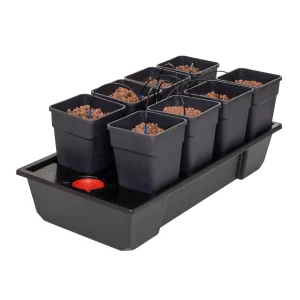 Wilma Small Wide 8 Complete 11L