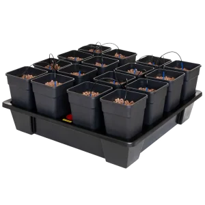 Wilma XXL 16 Complete 11L
