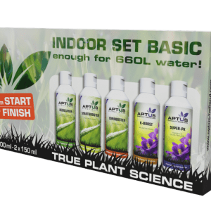 Indoor Set Basic