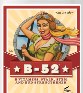 B-52® 10L