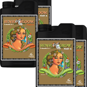 pH Perfect® Sensi Coco Grow & Bloom 10L