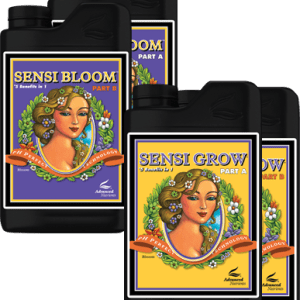 pH Perfect® Sensi Grow & Bloom 10L