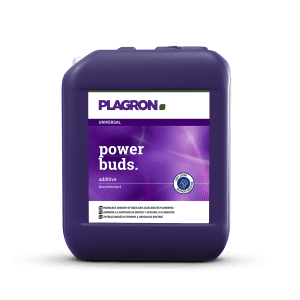 power buds 10L