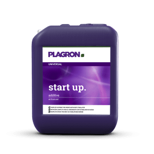 startup 5L